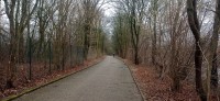 20240209_132900.jpg 20240209_132900.jpg