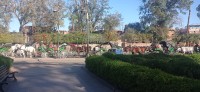 20240229_095746.jpg 20240229_095746.jpg