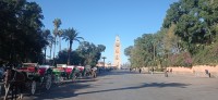 20240229_095930.jpg 20240229_095930.jpg