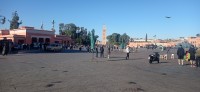 20240229_100426.jpg 20240229_100426.jpg