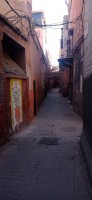 20240229_104219.jpg 20240229_104219.jpg
