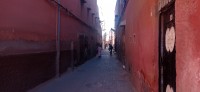 20240229_110704.jpg 20240229_110704.jpg