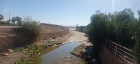 20240229_111102.jpg 20240229_111102.jpg