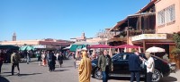 20240229_120429.jpg 20240229_120429.jpg