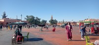 20240229_120626.jpg 20240229_120626.jpg