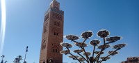 20240229_121844.jpg 20240229_121844.jpg