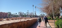 20240229_121930.jpg 20240229_121930.jpg