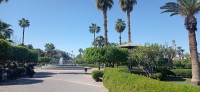 20240229_122214.jpg 20240229_122214.jpg