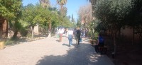 20240229_155939.jpg 20240229_155939.jpg