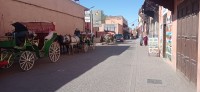 20240229_160238.jpg 20240229_160238.jpg