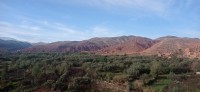 20240301_094628.jpg 20240301_094628.jpg