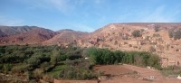 20240301_094834.jpg 20240301_094834.jpg