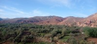 20240301_094837.jpg 20240301_094837.jpg