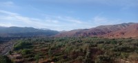 20240301_094913.jpg 20240301_094913.jpg
