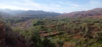 20240301_094934.jpg 20240301_094934.jpg