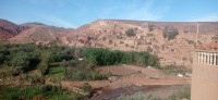 20240301_094951.jpg 20240301_094951.jpg
