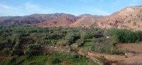 20240301_095028.jpg 20240301_095028.jpg