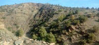 20240301_100001.jpg 20240301_100001.jpg