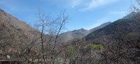 20240301_114519.jpg 20240301_114519.jpg