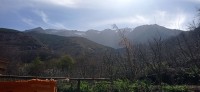 20240301_115133.jpg 20240301_115133.jpg