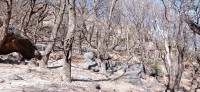 20240301_115540.jpg 20240301_115540.jpg