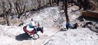 20240301_115734.jpg 20240301_115734.jpg