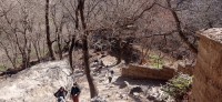 20240301_115826.jpg 20240301_115826.jpg