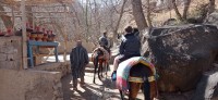 20240301_120219.jpg 20240301_120219.jpg