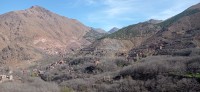 20240301_121312.jpg 20240301_121312.jpg