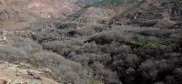 20240301_121545.jpg 20240301_121545.jpg