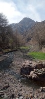 20240301_123844.jpg 20240301_123844.jpg