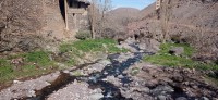 20240301_123853.jpg 20240301_123853.jpg