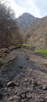 20240301_123908.jpg 20240301_123908.jpg
