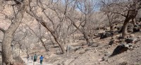 20240301_132312.jpg 20240301_132312.jpg