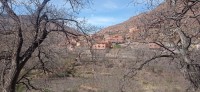 20240301_132447.jpg 20240301_132447.jpg