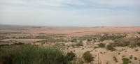 20240301_160725.jpg 20240301_160725.jpg
