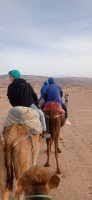 20240301_172759.jpg 20240301_172759.jpg