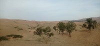 20240301_175104.jpg 20240301_175104.jpg