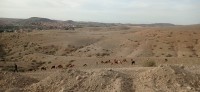 20240301_175746.jpg 20240301_175746.jpg