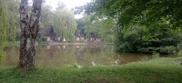 20240520_092334.jpg 20240520_092334.jpg
