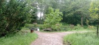 20240520_095027.jpg 20240520_095027.jpg