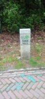 20240520_095318.jpg 20240520_095318.jpg