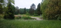 20240520_100506.jpg 20240520_100506.jpg