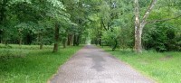 20240520_102737.jpg 20240520_102737.jpg