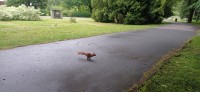 20240520_102821.jpg 20240520_102821.jpg