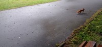 20240520_102830.jpg 20240520_102830.jpg