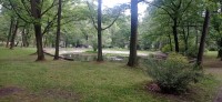 20240522_092201.jpg 20240522_092201.jpg