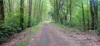 20240522_110000.jpg 20240522_110000.jpg