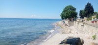 20240616_102809.jpg 20240616_102809.jpg