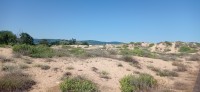 20240619_163923.jpg 20240619_163923.jpg